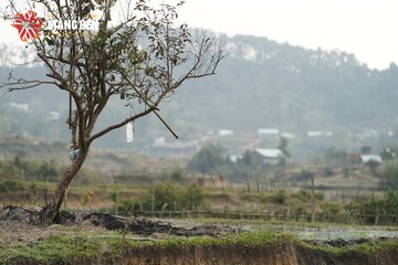MĂNG ĐEN ULTRA TRAIL 2026 - Ảnh #4518660