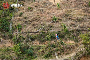 MĂNG ĐEN ULTRA TRAIL 2026 - Ảnh #4523361