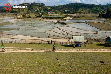 MĂNG ĐEN ULTRA TRAIL 2026 - Ảnh #4522659