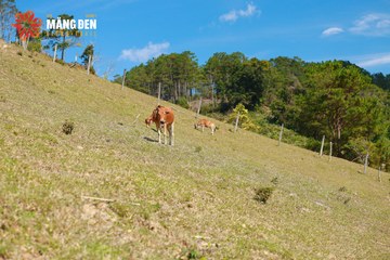 MĂNG ĐEN ULTRA TRAIL 2026 - Ảnh #4523442
