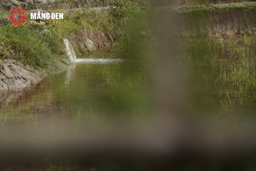 MĂNG ĐEN ULTRA TRAIL 2026 - Ảnh #4518659