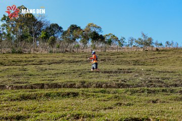 MĂNG ĐEN ULTRA TRAIL 2026 - Ảnh #4522673