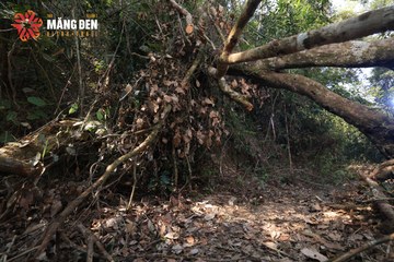 MĂNG ĐEN ULTRA TRAIL 2026 - Ảnh #4514483
