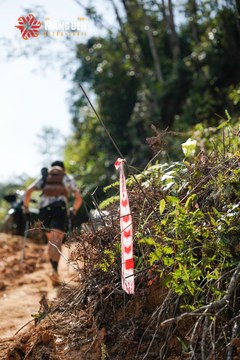 MĂNG ĐEN ULTRA TRAIL 2026 - Ảnh #4503998
