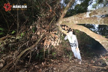 MĂNG ĐEN ULTRA TRAIL 2026 - Ảnh #4513396