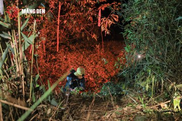 MĂNG ĐEN ULTRA TRAIL 2026 - Ảnh #4520787