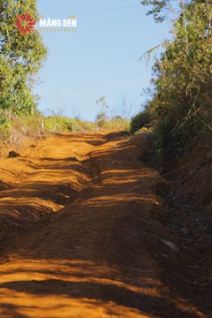 MĂNG ĐEN ULTRA TRAIL 2026 - Ảnh #4511602