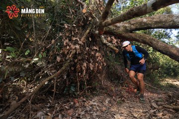 MĂNG ĐEN ULTRA TRAIL 2026 - Ảnh #4513298