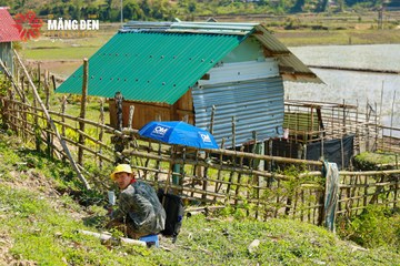 MĂNG ĐEN ULTRA TRAIL 2026 - Ảnh #4523684