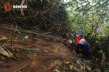 MĂNG ĐEN ULTRA TRAIL 2026 - Ảnh #4514196