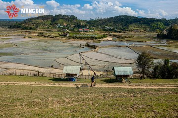 MĂNG ĐEN ULTRA TRAIL 2026 - Ảnh #4522662