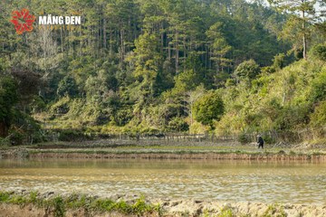 MĂNG ĐEN ULTRA TRAIL 2026 - Ảnh #4522963