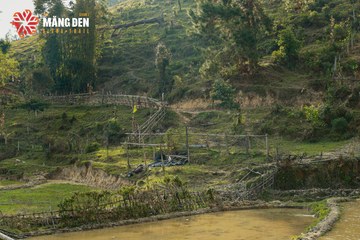 MĂNG ĐEN ULTRA TRAIL 2026 - Ảnh #4522960