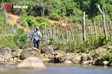 MĂNG ĐEN ULTRA TRAIL 2026 - Ảnh #4523801