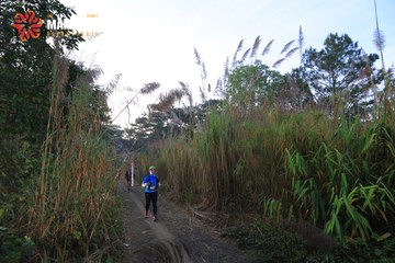 MĂNG ĐEN ULTRA TRAIL 2026 - Ảnh #4505865