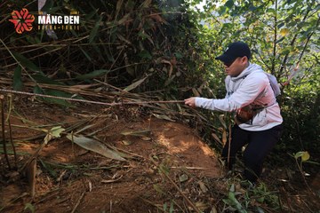 MĂNG ĐEN ULTRA TRAIL 2026 - Ảnh #4513176