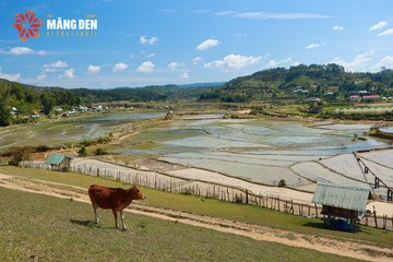 MĂNG ĐEN ULTRA TRAIL 2026 - Ảnh #4523447