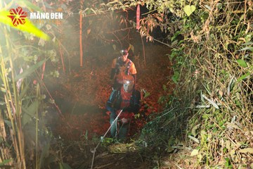 MĂNG ĐEN ULTRA TRAIL 2026 - Ảnh #4520796