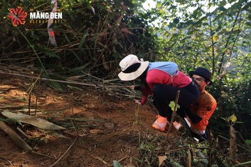 MĂNG ĐEN ULTRA TRAIL 2026 - Ảnh #4514314
