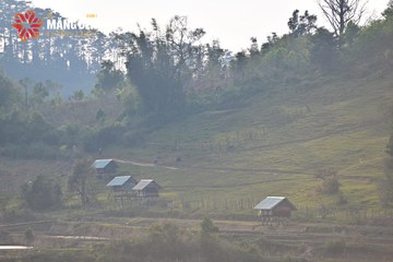 MĂNG ĐEN ULTRA TRAIL 2026 - Ảnh #4525054
