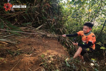MĂNG ĐEN ULTRA TRAIL 2026 - Ảnh #4513058