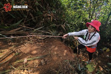 MĂNG ĐEN ULTRA TRAIL 2026 - Ảnh #4514433