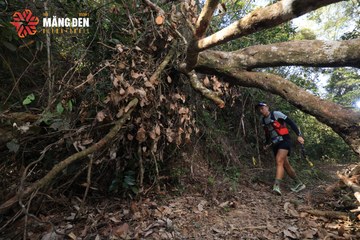 MĂNG ĐEN ULTRA TRAIL 2026 - Ảnh #4514922