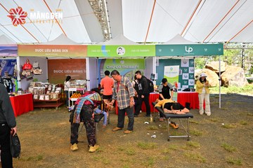 MĂNG ĐEN ULTRA TRAIL 2026 - Ảnh #4520341