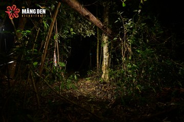 MĂNG ĐEN ULTRA TRAIL 2026 - Ảnh #4526332