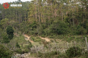 MĂNG ĐEN ULTRA TRAIL 2026 - Ảnh #4518600
