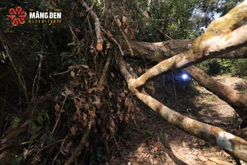 MĂNG ĐEN ULTRA TRAIL 2026 - Ảnh #4514481