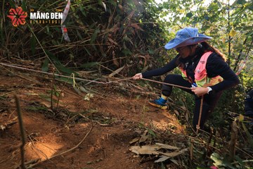 MĂNG ĐEN ULTRA TRAIL 2026 - Ảnh #4512974
