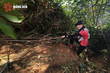 MĂNG ĐEN ULTRA TRAIL 2026 - Ảnh #4514445