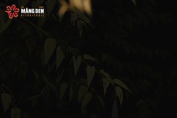 MĂNG ĐEN ULTRA TRAIL 2026 - Ảnh #4511306