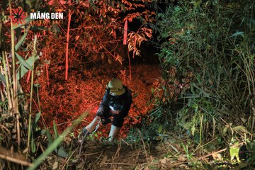 MĂNG ĐEN ULTRA TRAIL 2026 - Ảnh #4520784