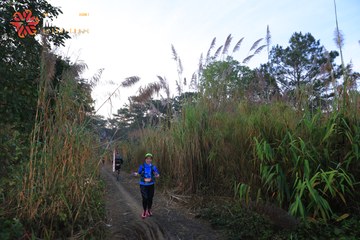 MĂNG ĐEN ULTRA TRAIL 2026 - Ảnh #4505867