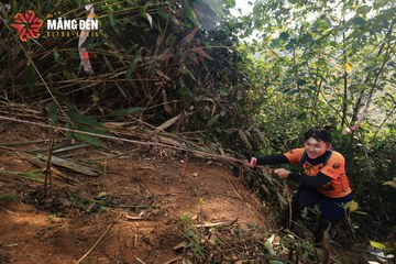 MĂNG ĐEN ULTRA TRAIL 2026 - Ảnh #4513056