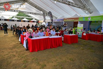 MĂNG ĐEN ULTRA TRAIL 2026 - Ảnh #4521325