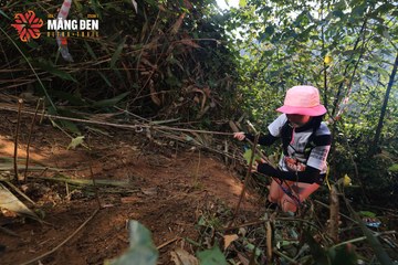MĂNG ĐEN ULTRA TRAIL 2026 - Ảnh #4514267