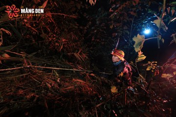 MĂNG ĐEN ULTRA TRAIL 2026 - Ảnh #4512395