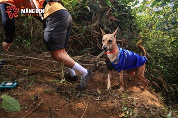 MĂNG ĐEN ULTRA TRAIL 2026 - Ảnh #4513115