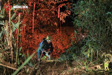 MĂNG ĐEN ULTRA TRAIL 2026 - Ảnh #4520782