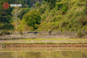 MĂNG ĐEN ULTRA TRAIL 2026 - Ảnh #4523345