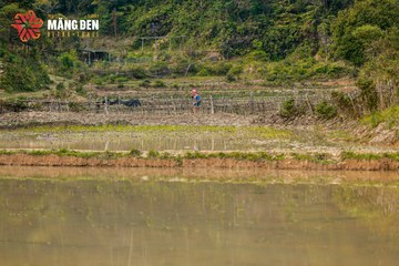 MĂNG ĐEN ULTRA TRAIL 2026 - Ảnh #4523349