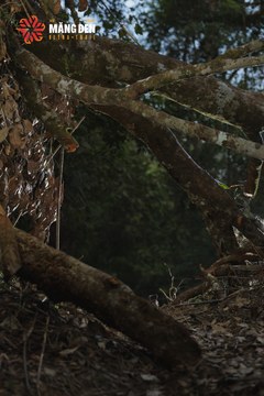 MĂNG ĐEN ULTRA TRAIL 2026 - Ảnh #4512194