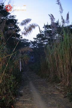 MĂNG ĐEN ULTRA TRAIL 2026 - Ảnh #4509491