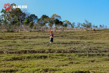 MĂNG ĐEN ULTRA TRAIL 2026 - Ảnh #4522677
