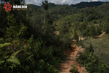 MĂNG ĐEN ULTRA TRAIL 2026 - Ảnh #4504416