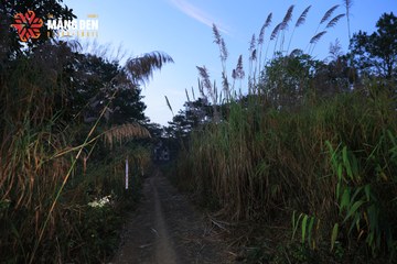 MĂNG ĐEN ULTRA TRAIL 2026 - Ảnh #4509497