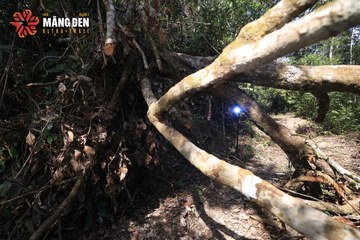 MĂNG ĐEN ULTRA TRAIL 2026 - Ảnh #4513249